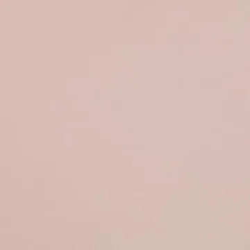 Stylish Amazon Basics Queen Comforter Set for All Seasons