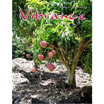 Vibrance no. 8 (Vibrance Magazine)