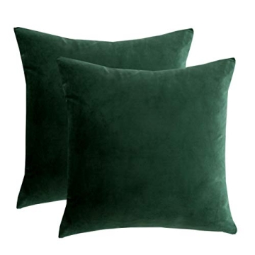 RainRoad Velvet Decorative Throw Pillow Covers - Set of 2