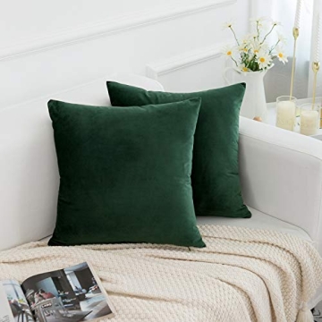 RainRoad Velvet Decorative Throw Pillow Covers - Set of 2