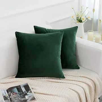 RainRoad Velvet Decorative Throw Pillow Covers - Set of 2
