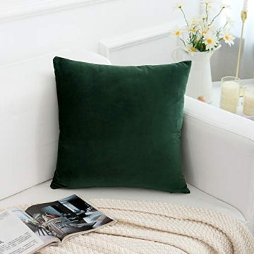RainRoad Velvet Decorative Throw Pillow Covers - Set of 2