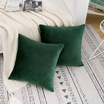 RainRoad Velvet Decorative Throw Pillow Covers - Set of 2