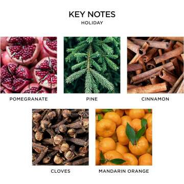 NEST Holiday Classic Scented Candle for Cozy Vibes