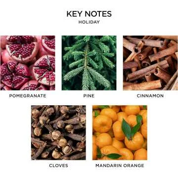 NEST Holiday Classic Scented Candle for Cozy Vibes