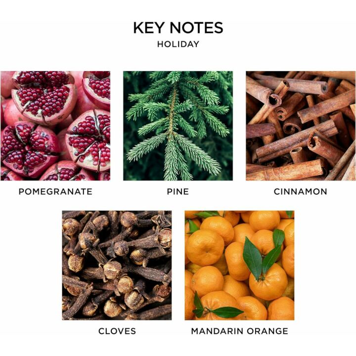 NEST Holiday Classic Scented Candle for Cozy Vibes