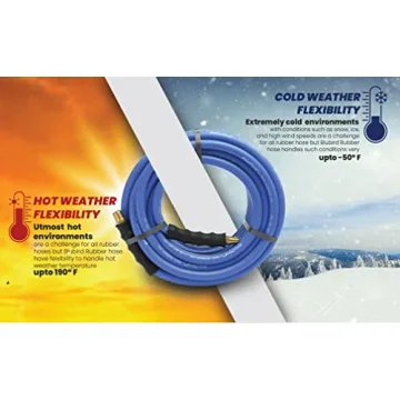 Buy BluBird 3/8" x 25' Rubber Air Hose - Flexible & Durable
