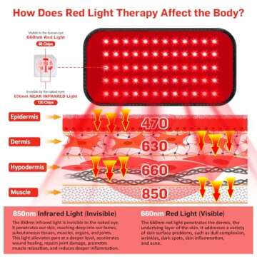 Red Light Therapy Belt, Infrared Light Therapy for Body, Wearable Wrap with Timer for Back Shoulder ...
