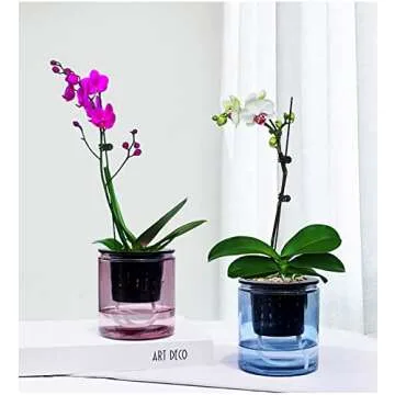 Jucoan 40 Pack 4 Inch Net Pots for Hydroponics Gardening