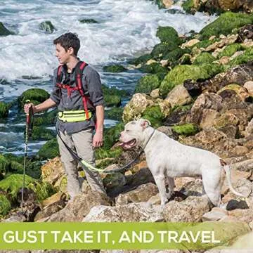 Hands-Free Dog Leash for Runners - Premium Quality