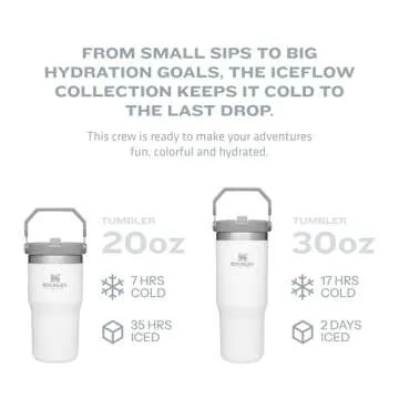 Stanley IceFlow Flip Straw Tumbler with Handle 20 oz | Twist On Lid and Flip Up Straw | Leak Resistant Water Bottle | Insulated Stainless Steel |BPA-Free | Mist