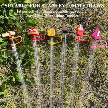 Amreich Straw Topper Set for Teachers - 6 Vibrant Caps