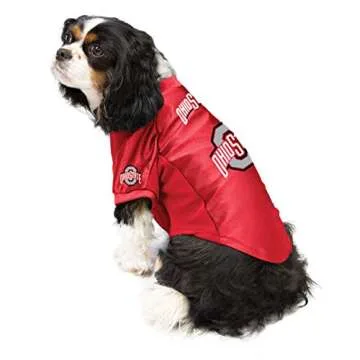Ohio State Buckeyes Pet Jersey for Game Day Style