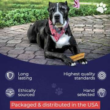 Natural Yak Cheese Dog Chews - Long-Lasting, Healthy Treats