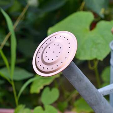 HORTICAN 1 Gallon Watering Can, Farmhouse Watering Can, Metal Watering Can with Removable Spout, Galvanized Watering Can, Perfect Plant Watering Can for Indoor Use and for Outdoor Use