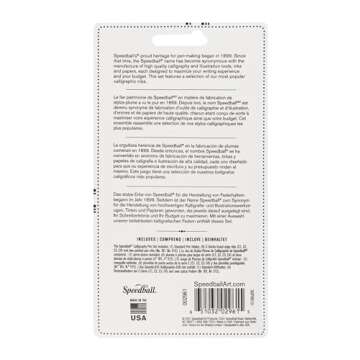 Beginner-Friendly Calligraphy Pen Set with Quality Nibs