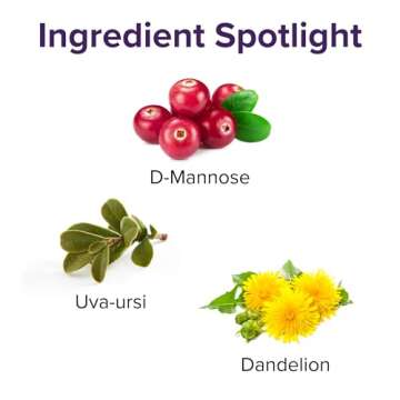 Vibrant Health, U.T. Vibrance Powder, Crisis Intervention for Urinary Tract Health, 10 Servings