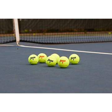 Penn Championship - Extra Duty Felt Pressurized Tennis Balls - (2 Cans, 6 Balls)