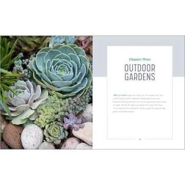 Essential Succulents: The Beginner's Guide to Indoor Gardening
