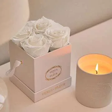 Venus et Fleur Le Petit Square - The Original Preserved Roses in a Box That Last a Year - Black Gift Box, 4 Blush Roses