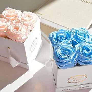Venus et Fleur Le Petit Square - The Original Preserved Roses in a Box That Last a Year - Black Gift Box, 4 Blush Roses