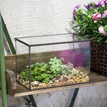 NCYP Small Rectangle Glass Terrarium for Creative Displays