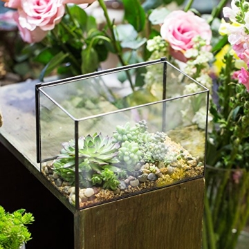 NCYP Small Rectangle Glass Terrarium for Creative Displays