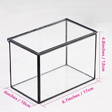 NCYP Small Rectangle Glass Terrarium for Creative Displays