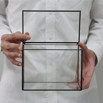 NCYP Small Rectangle Glass Terrarium for Creative Displays