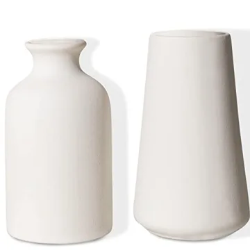 Chaumiere Set of 2 Classic White Ceramic Vases