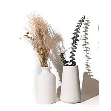 Chaumiere Set of 2 Classic White Ceramic Vases