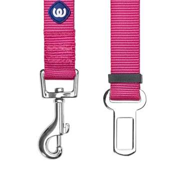 Blueberry Pet Dog Leash - Puppy Essentials & Heavy Duty Dog Leashes for Large Dogs, Safety Tether for Dogs & Cats, Very Berry, 2" W x 27.5" L, Festive & Durable for Pet Parents & Road Trips