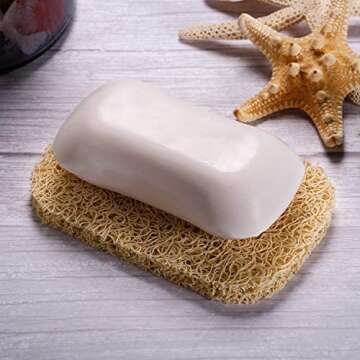 GUUKAR Stainless Steel Soap Dish with Beige Soap Saver