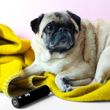 Flint Classic Mini Lint Roller with 90 Extra Sticky Sheets