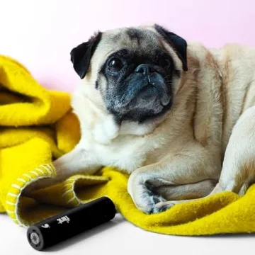 Flint Classic Mini Lint Roller with 90 Extra Sticky Sheets