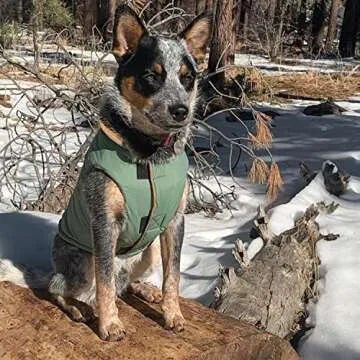 Gooby Sports Vest for Small Dogs - Fleece & Reflective Design