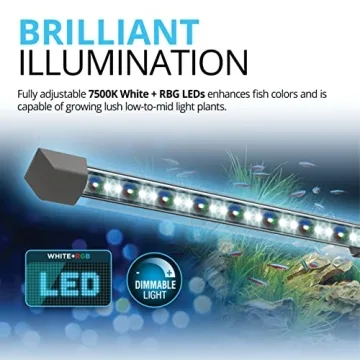 Fluval Flex 9 Aquarium Kit - LED Lights & Filtration Included