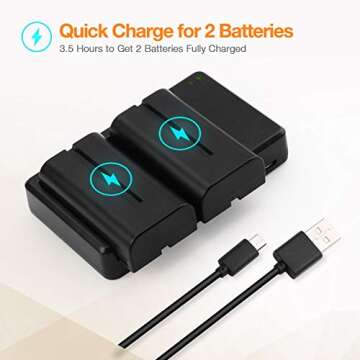 LORDONE NP-F550 Battery, 2-Pack 2700mAh NP F550 Battery and Dual USB Charger Set for Sony NP F970, F750, F770, F960, F550, F530, F330, F570, CCD-SC55, TR516, TR716, TR818, TR910, TR917 and More