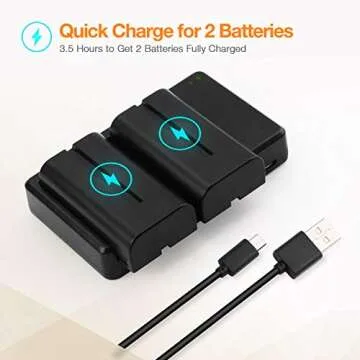 LORDONE NP-F550 Battery, 2-Pack 2700mAh NP F550 Battery and Dual USB Charger Set for Sony NP F970, F750, F770, F960, F550, F530, F330, F570, CCD-SC55, TR516, TR716, TR818, TR910, TR917 and More