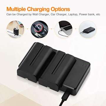 LORDONE NP-F550 Battery, 2-Pack 2700mAh NP F550 Battery and Dual USB Charger Set for Sony NP F970, F750, F770, F960, F550, F530, F330, F570, CCD-SC55, TR516, TR716, TR818, TR910, TR917 and More