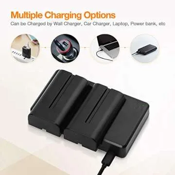 LORDONE NP-F550 Battery, 2-Pack 2700mAh NP F550 Battery and Dual USB Charger Set for Sony NP F970, F750, F770, F960, F550, F530, F330, F570, CCD-SC55, TR516, TR716, TR818, TR910, TR917 and More