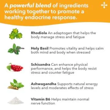 LifeSeasons - Adrenal-T - Adrenal Fatigue Support Supplement - Helps Lower Cortisol - Avoid Burnout - Aids Stress Management - Energizing - with Ashwagandha Adaptogens - 60 Capsules