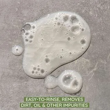 Aveeno Daily Moisturizing Facial Cleanser for Dry Skin, Gentle Face Cleanser with Soothing Oat for Skin that Feels Soft & Supple, Removes Dirt, Oil and Impurities, Fragrance Free, 12 FL OZ