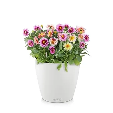 Lechuza CLASSICO Color 21 Self-Watering Planter in Matte White
