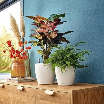 Lechuza CLASSICO Color 21 Self-Watering Planter in Matte White
