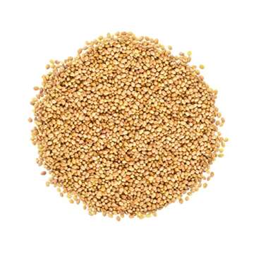 Food to Live Organic Clover Seeds - High Germination Sprouts