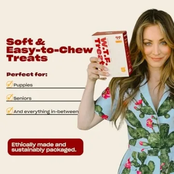 Healthy OH NORMAN! Soft Beef Jerky Dog Treats for All Breeds
