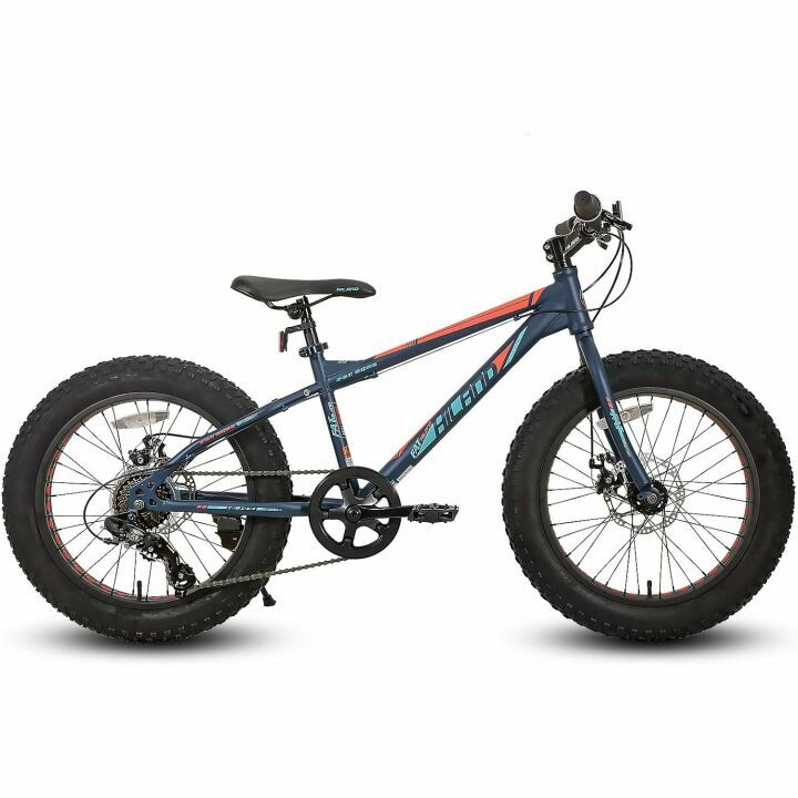 Hiland Kids' 20 Inch Fat Tire Mountain Bike