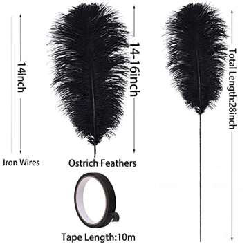 Ballinger Black Ostrich Feathers Kit for Decorations and Crafts