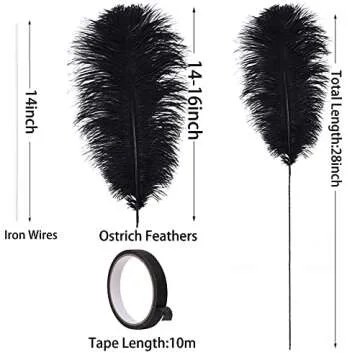 Ballinger Black Ostrich Feathers Kit for Decorations and Crafts